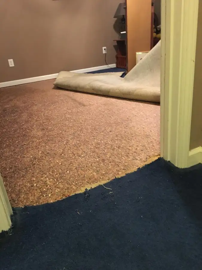 Carpet pad removal revealing water damage during Drying & Dehumidification in Dixon