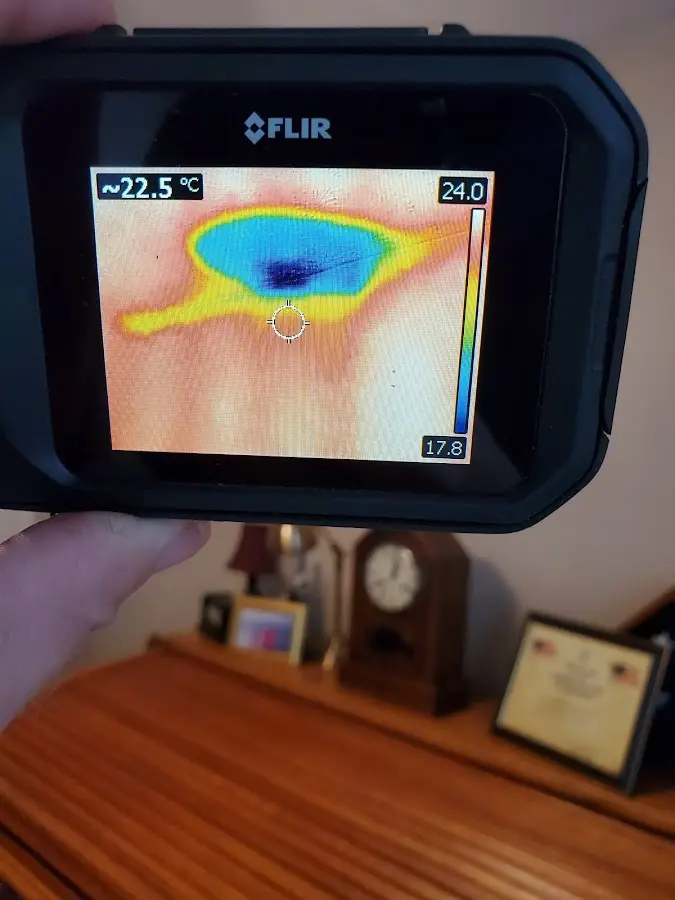 Thermal imaging inspection for water damage in Dixon