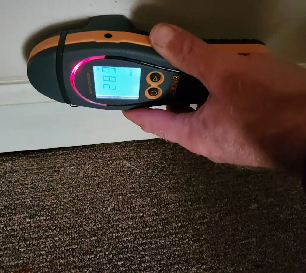 Moisture detection at baseboard during Mold Inspection & Testing in Dixon
