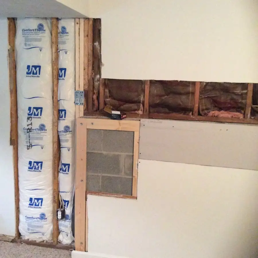 Wall insulation replacement during Odor Removal & Deodorization in Dixon